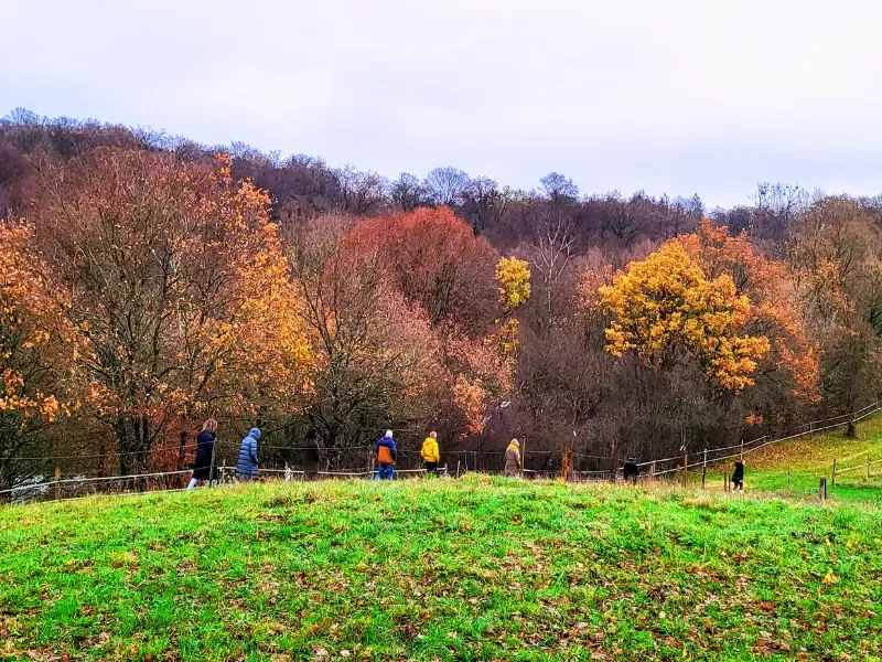 De groep wandelt over de heuvel terug naar La Ferme du Bois-le-Comte